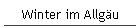 Winter im Allgu
